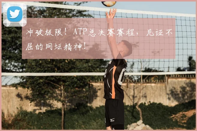 冲破极限！ATP总决赛赛程，见证不屈的网坛精神！