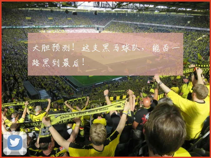 大胆预测！这支黑马球队，能否一路黑到最后！