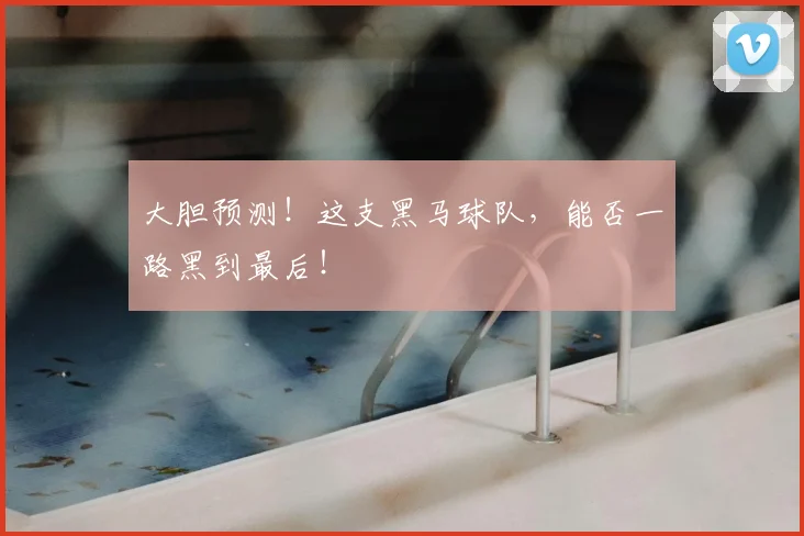 大胆预测！这支黑马球队，能否一路黑到最后！